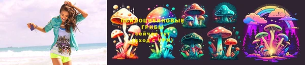 СК Балахна