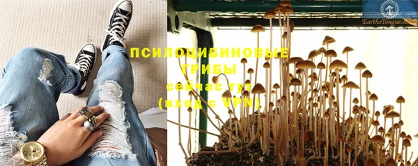 ALPHA-PVP Баксан
