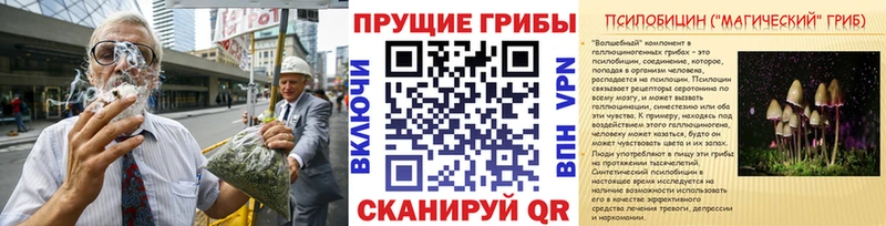 Псилоцибиновые грибы Psilocybe  Нязепетровск 